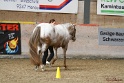24-ApHC HIH_013